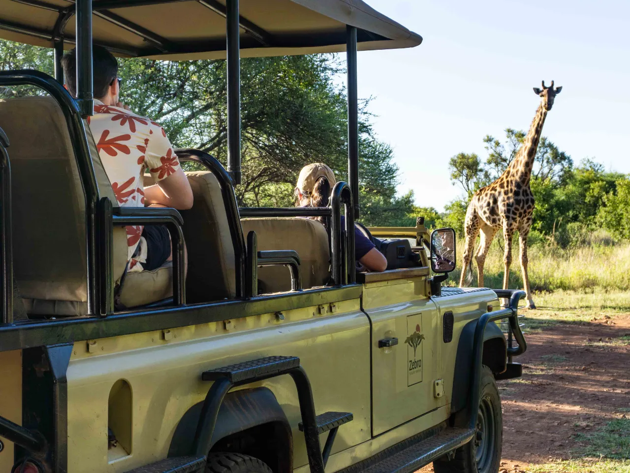 Giraff krysser vår vei Giraff krysser vår vei