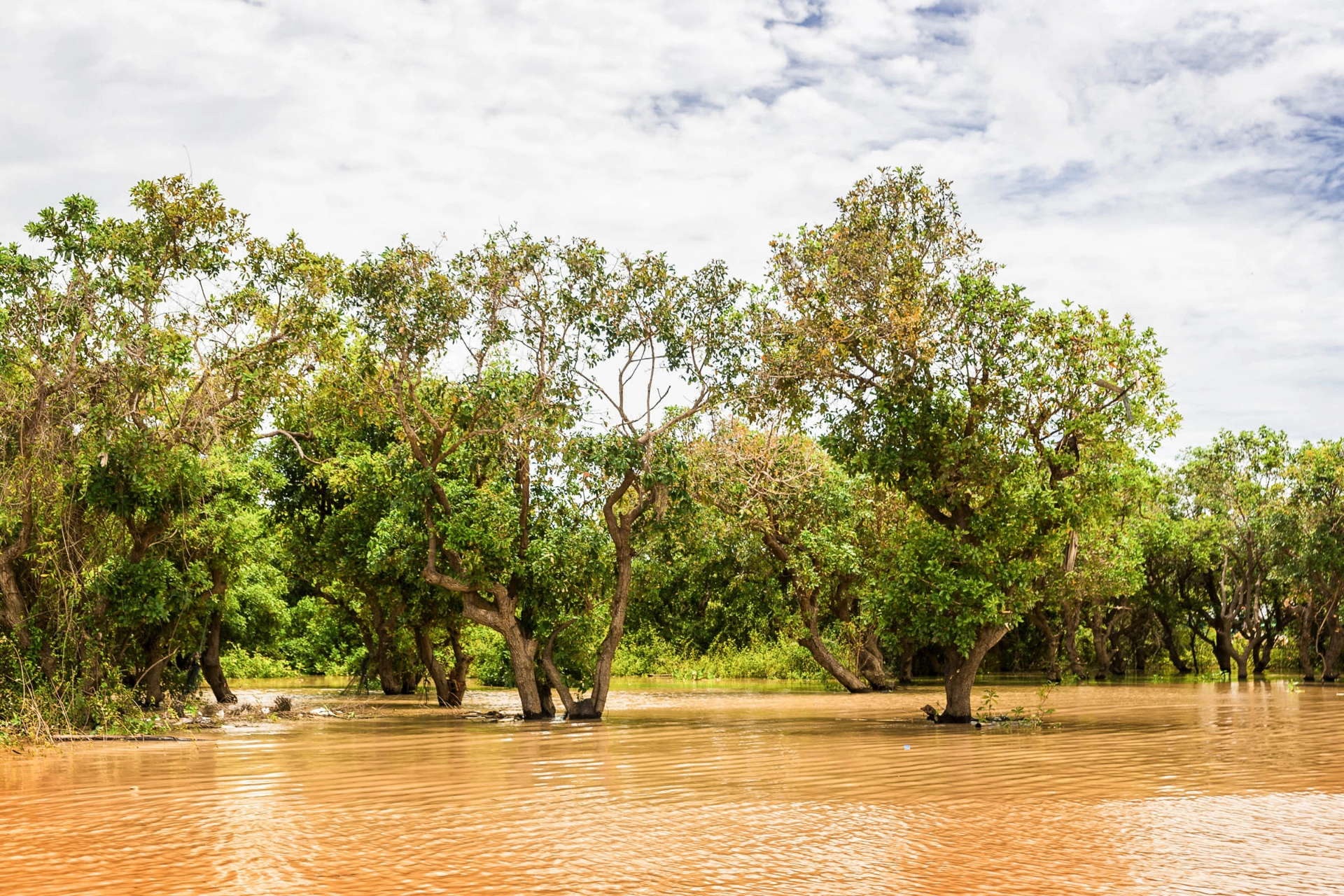 Tonle Sap-sjøen er den størsta innsjøen i Sørøst-Asia