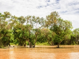 Tonle Sap-sjøen er den størsta innsjøen i Sørøst-Asia